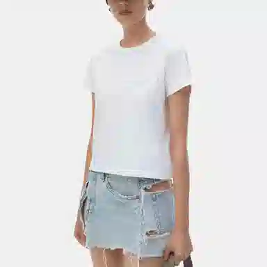 alexander wang FW24 T