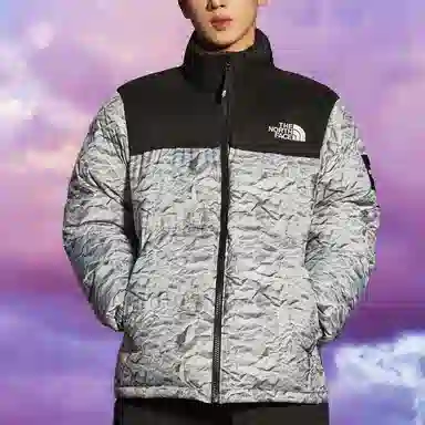 The North Face Novelty Nuptse Silver
