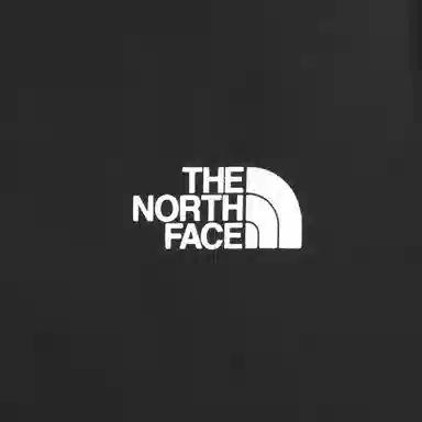 THE NORTH FACE LoogT