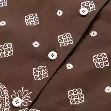 Miu Miu SS25 Printed Shirt Brown