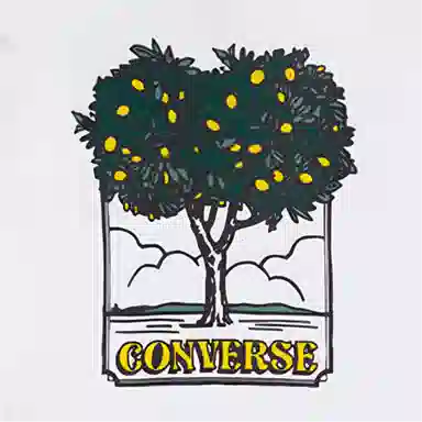 Converse T