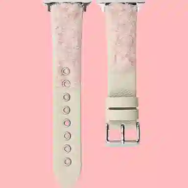 AOMN B-132 applewatchiwatch1098765