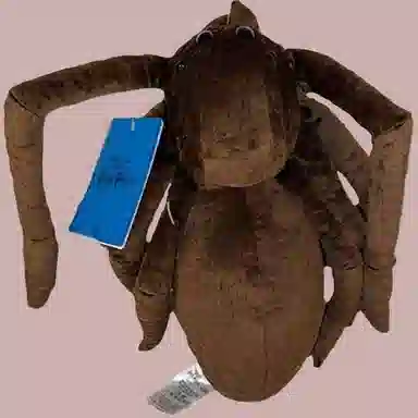环球影城 哈利波特 蜘蛛 毛绒玩偶