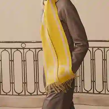 Hermes Casaque Scarf