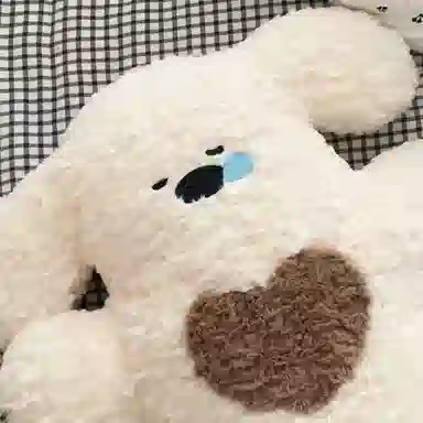 50cm