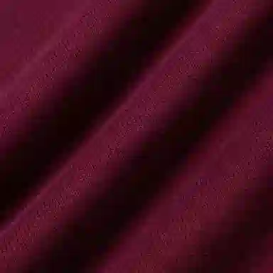 Polo Ralph Lauren Logo