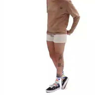 Vans Woven Shorts Beige