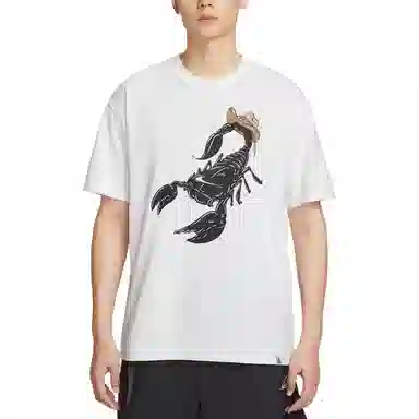 Nike Dri-Fit SS25 AS M ACG OC SCORPION SUMMIT T