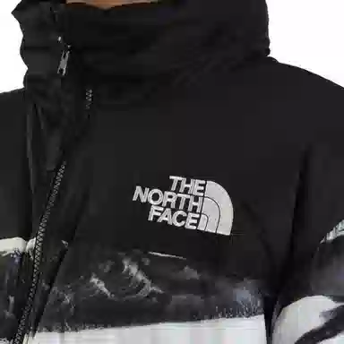 THE NORTH FACE ICON FW25 96 Nuptse logo700