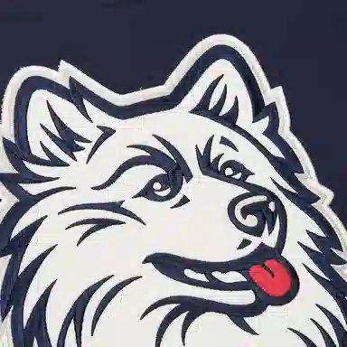 Mitchell & Ness x NCAA UConn Huskies Vintage Logo Tee