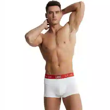 Lee 4