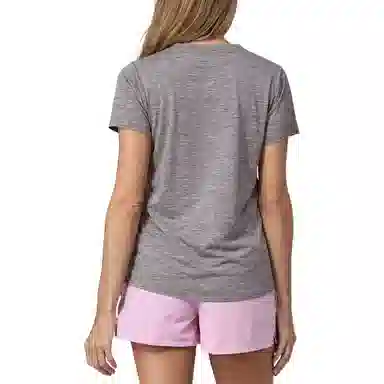 patagonia T