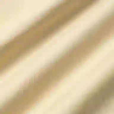 GUCCI x THE NORTH FACE