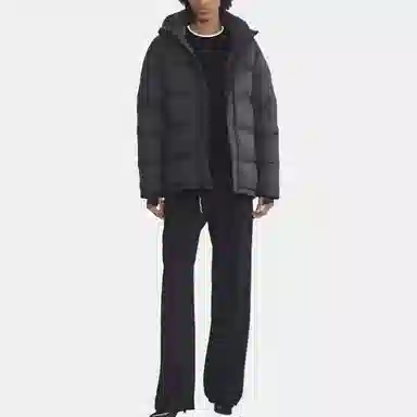 Aritzia Detachable Hood Down Jacket