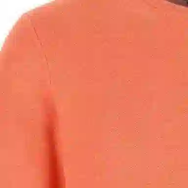 Polo Ralph Lauren Logo