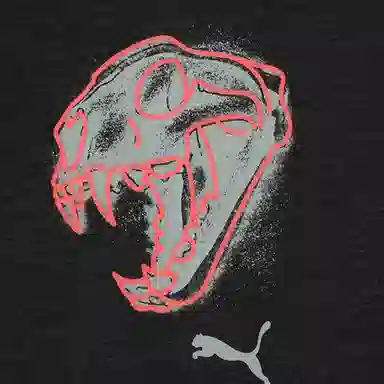 PUMA GRAPHICS SS25 T