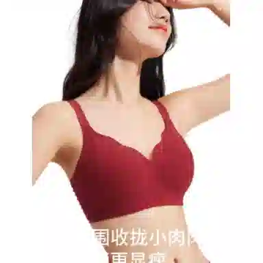 欧迪芬 大胸显小胸聚拢提拉收副乳防下垂文胸 女款