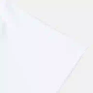 Converse Chuck Taylor SEASONAL T