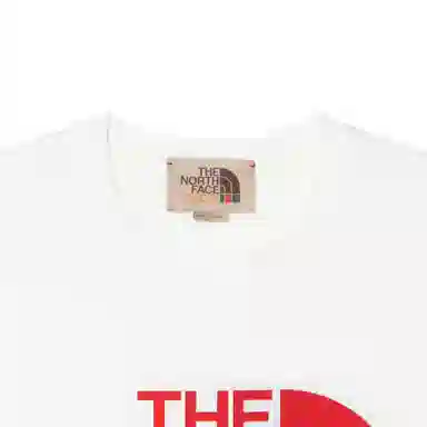 Gucci x The North Face SS22 T-Shirt