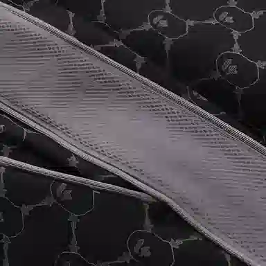 A BATHING APE SS25 logo