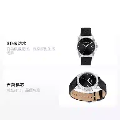 COACH Greyson 14504112