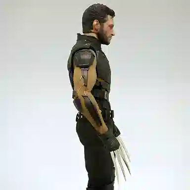 Hot Toys 16 x 16 3.0