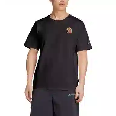 adidas Terrex POLYGIENE GRAPHIC T