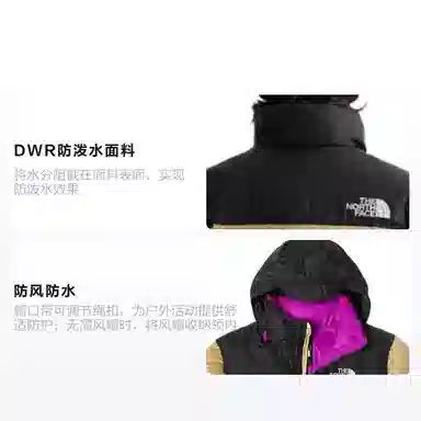 The North Face 1996 Nuptse