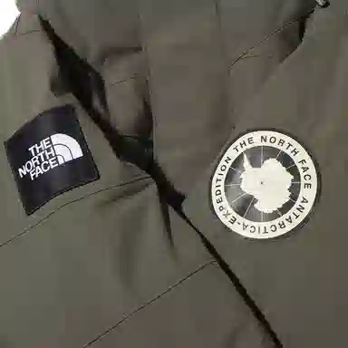The North Face Logo Print Hooded Down Jacket