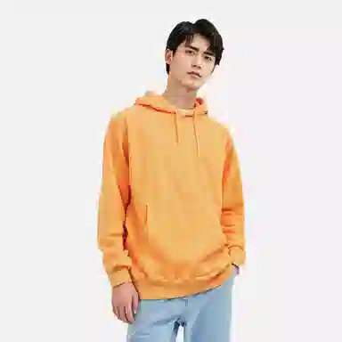 Stussy FW24 Buana Hoodie