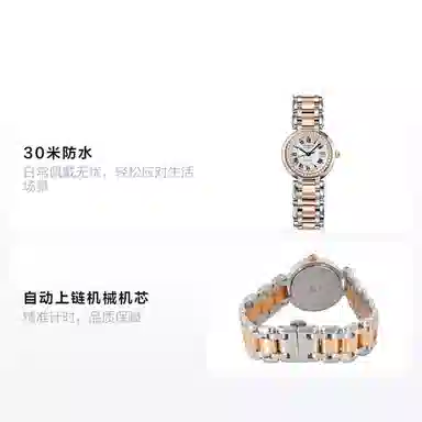 LONGINES 26.5mm L8.111.5.79.6