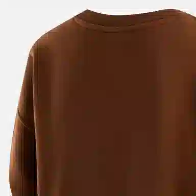Jordan Sweatshirt Brown
