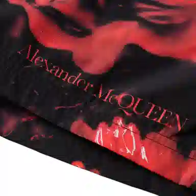 Alexander McQueen FW24