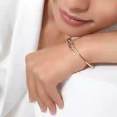 Cartier Juste un Clou