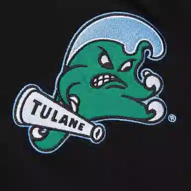 Mitchell Ness x NCAA Tulane Green Wave Ringer T