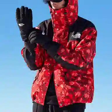 The North Face ICON 1986