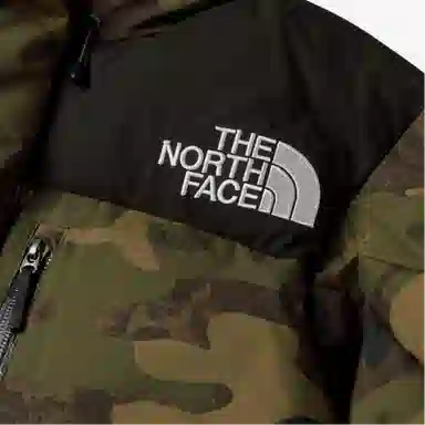 THE NORTH FACE