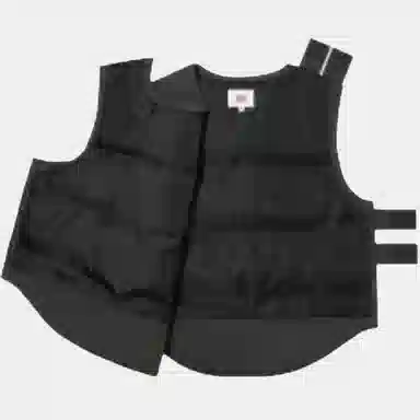 Supreme x WTAPS FW21 Tactical Down Vest