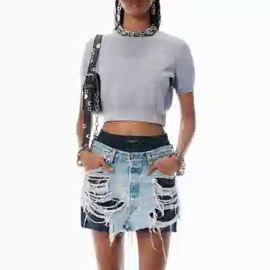 alexander wang FW25 T