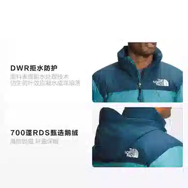 THE NORTH FACE 1996 Logo700