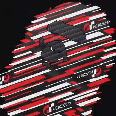 A BATHING APE x GT FW23 T