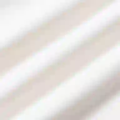 Gucci Logo Ivory T-Shirt