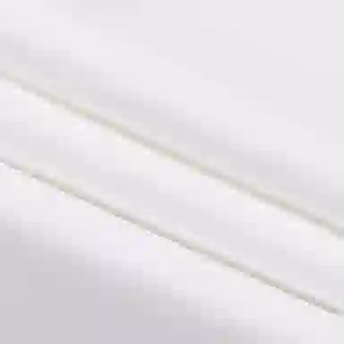 Champion T