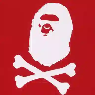 A BATHING APE Hoodie