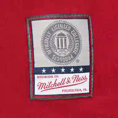 Mitchell Ness x NCAA South Carolina Gamecocks Jacquard Ringer T