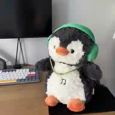 23cm