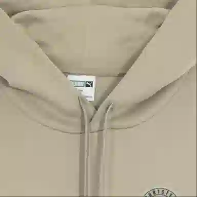 PUMA Hoodie Grey