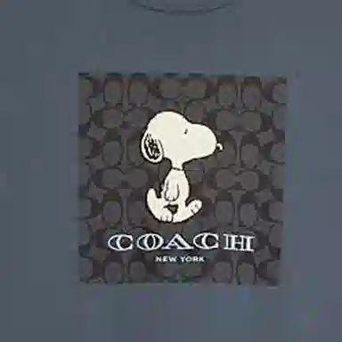 COACH FW22 T
