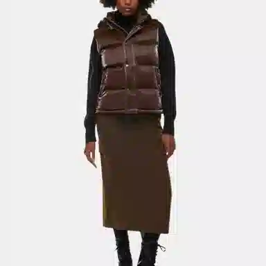 Aritzia Super Puff Liquid Shine