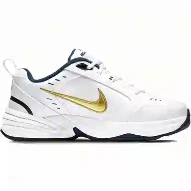 Nike Air Monarch 4 GIOIO